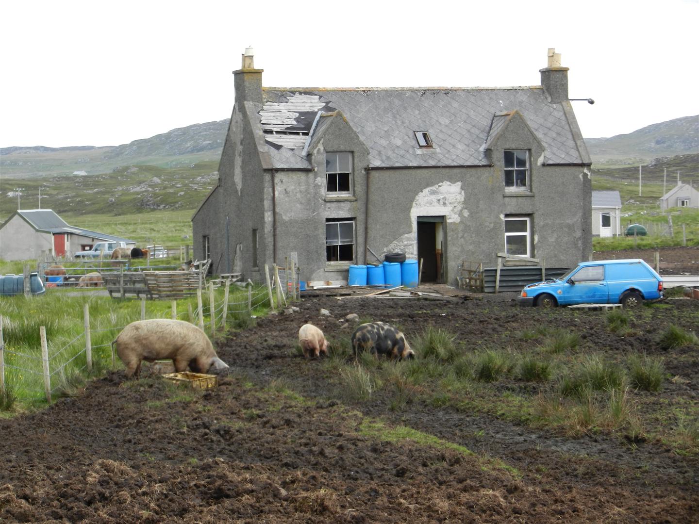 A House Like a Pigstye?