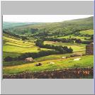 One Field One Barn Near Keld