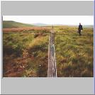 The Border Fence, Scotland To The Left