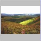 View To Scraesburgh Fell